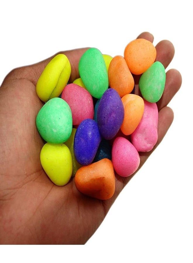 أحجار فاييناتو® الملونة المختلطة كبيرة الحجم لتزيين أحواض السمك والحدائق الداخلية (20-40 مم) بأحجام وأشكال عشوائية (2 كجم) من إنتاج بيتزلايف وورلد - Image 1